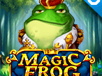 Magic Frog screenshot
